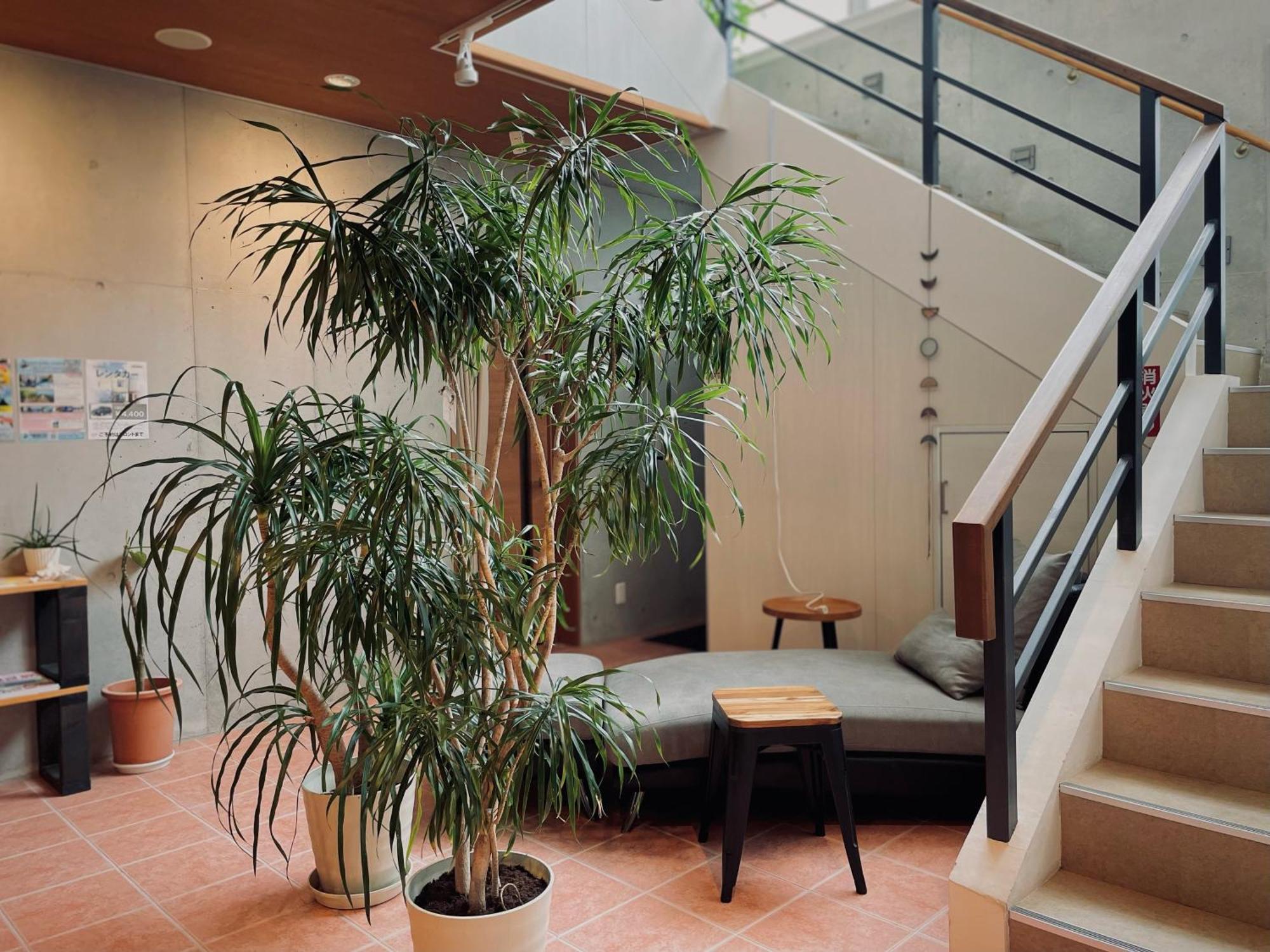 Hostel Sunterrace Ishigaki Ishigaki  Екстер'єр фото